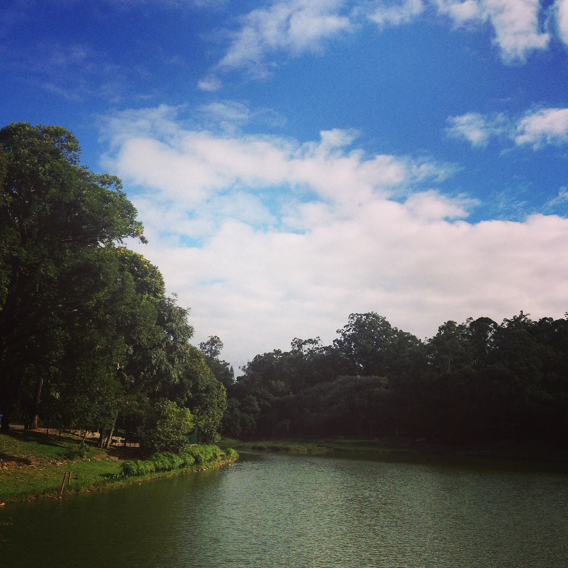 Imagem de referência de Parque da Aclimação, descrito nos dados abertos como parque na cidade de São Paulo