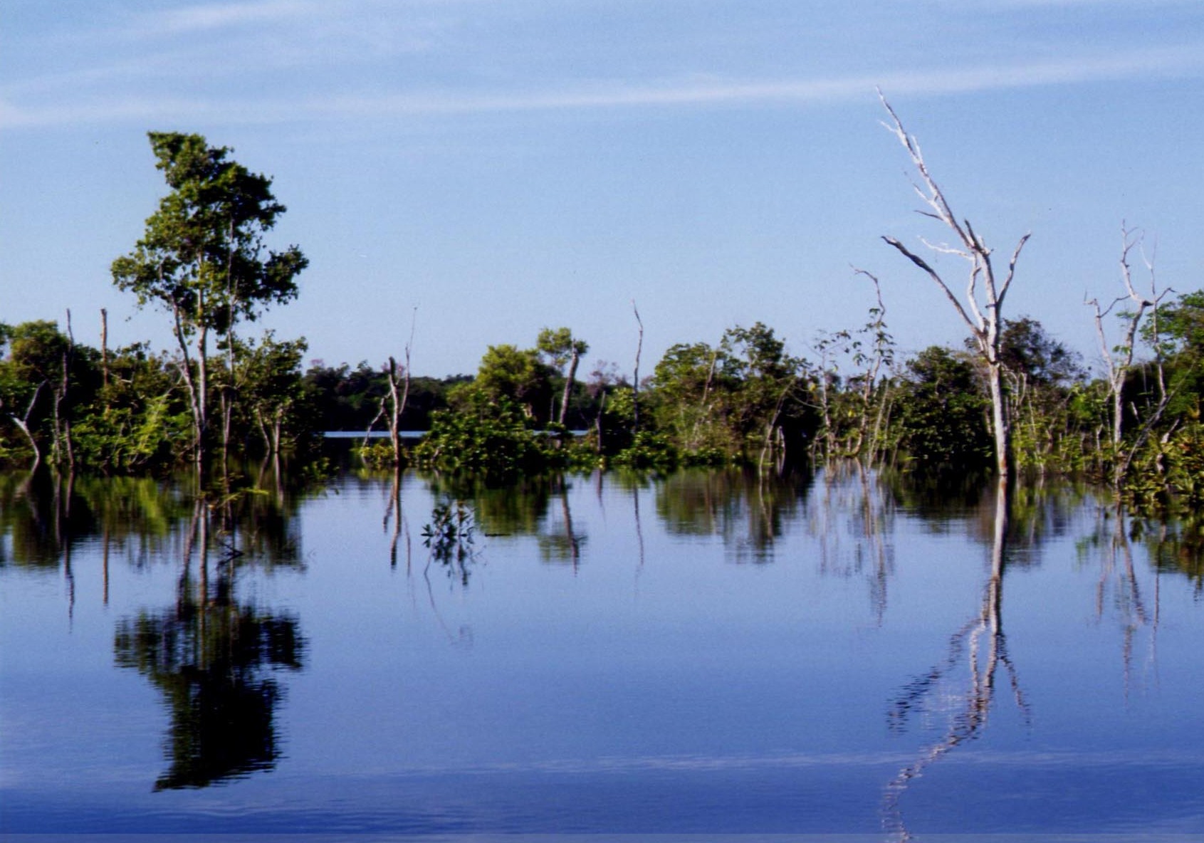 Imagem de referência de Envira, descrito nos dados abertos como município brasileiro do estado do Amazonas