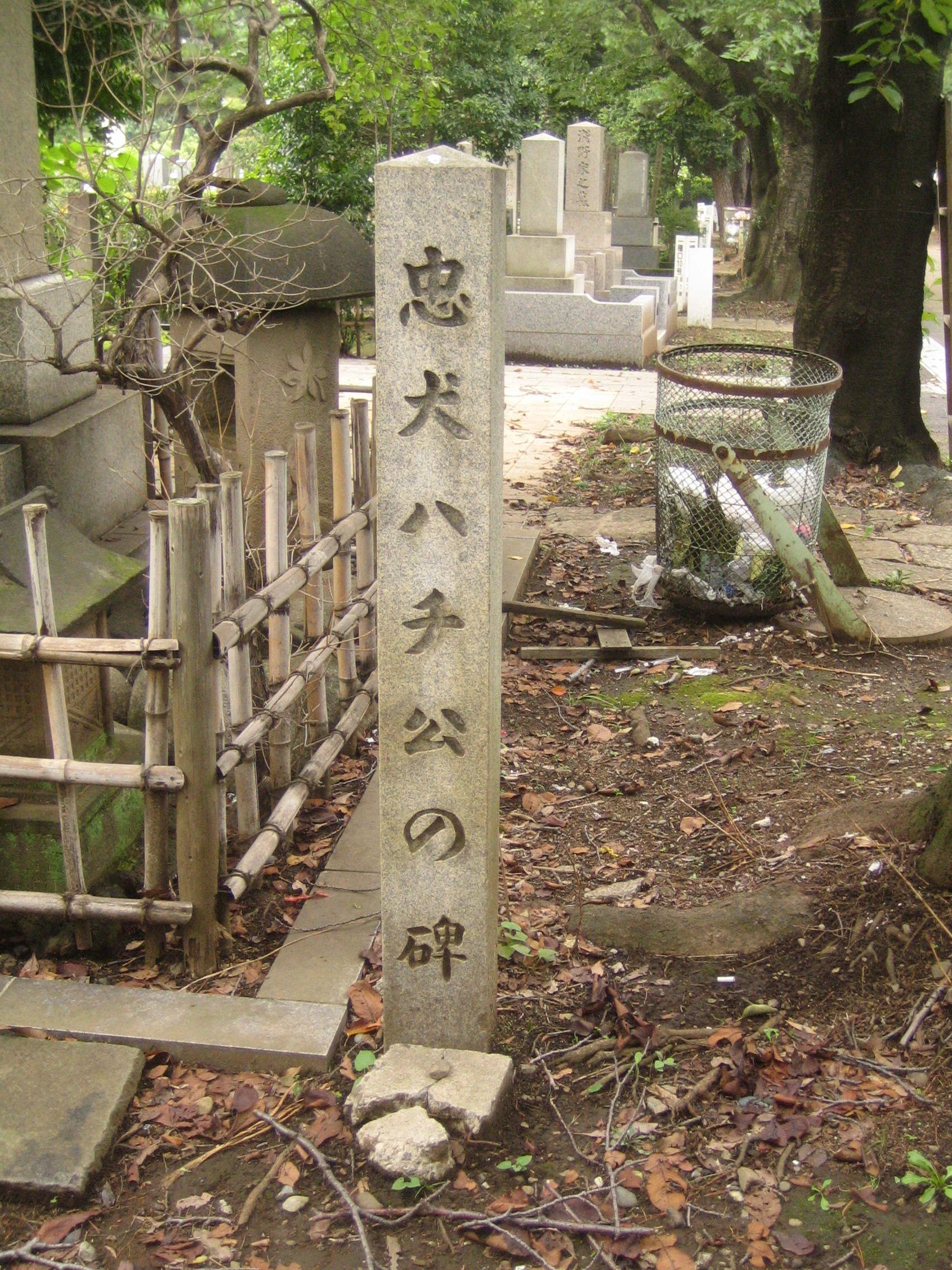 Imagem de referência de Hachiko, descrito nos dados abertos como cão da raça akita, famoso por sua lealdade (1923–1935)