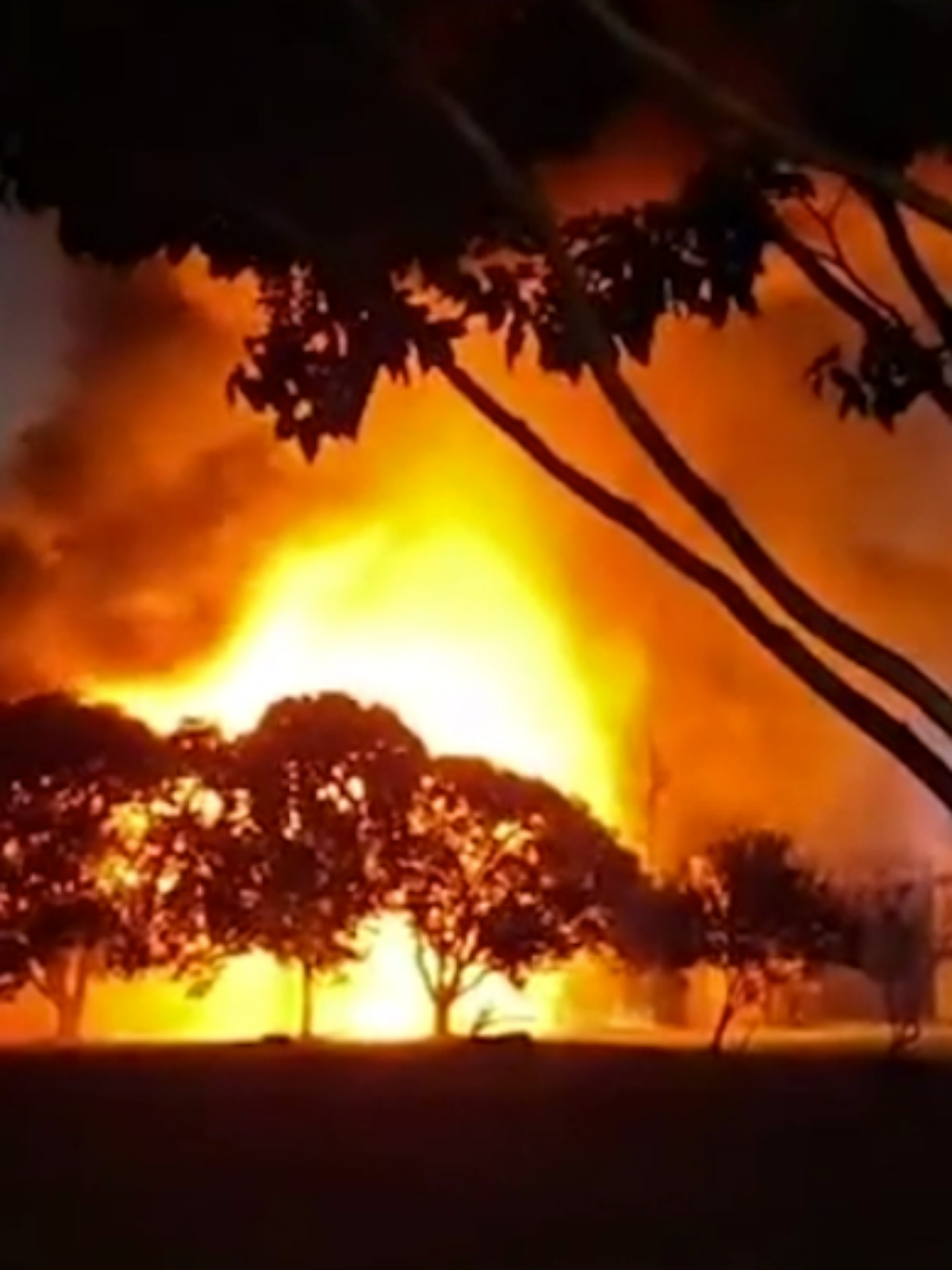 Incêndio na UFPE causa prejuízo de R$ 100 milhões em equipamentos, diz reitor