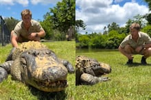 Foto falsa de crocodilo causa pânico em Singapura e autor pode pegar dez anos de prisão