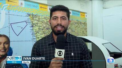 'Birdstrike': incidentes aéreos com pássaros são comuns no país